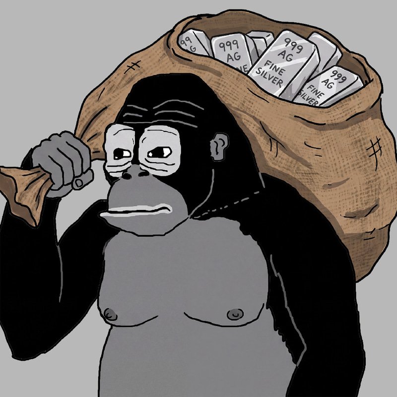 SILVER — Silverback Solana token traded by KOLs