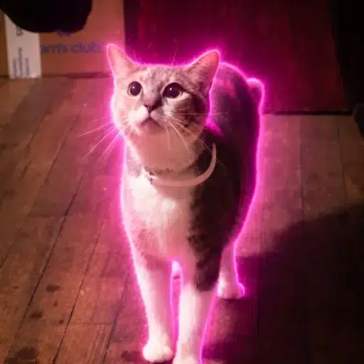 Pepper
