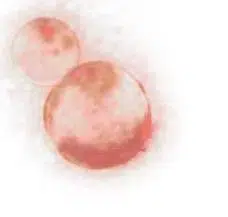 SpudCell