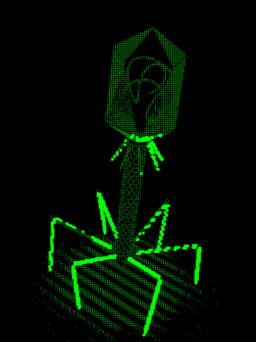 PHAGE