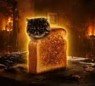 TOAST