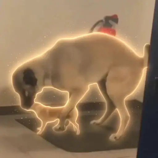 DOGGY