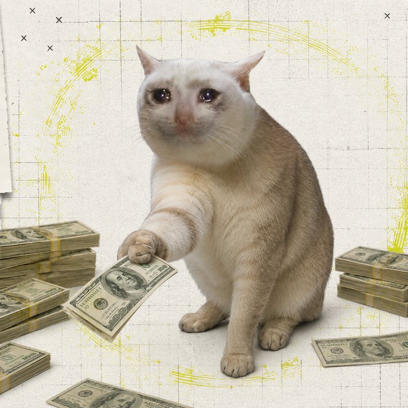 CatCash