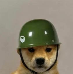 helmet