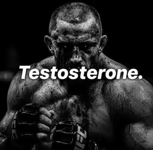 Testosterone