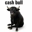 CASHBULL — cashbull Solana token traded by KOLs