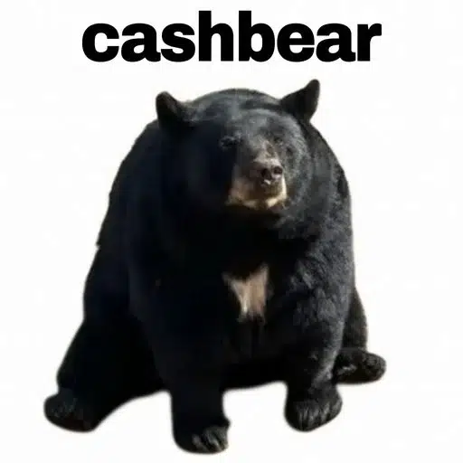 cashbear