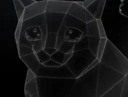 CASHCAT