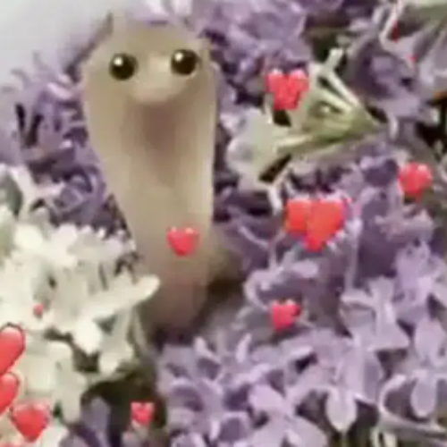 SNEK logo