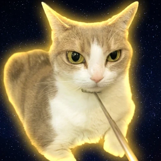 lulu