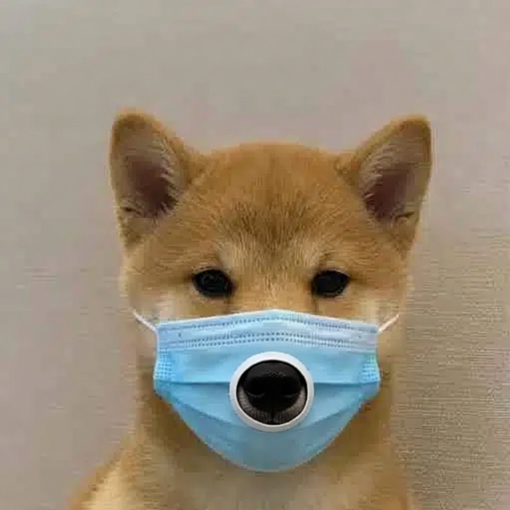 WIF