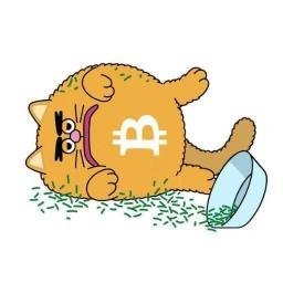 BITCAT logo