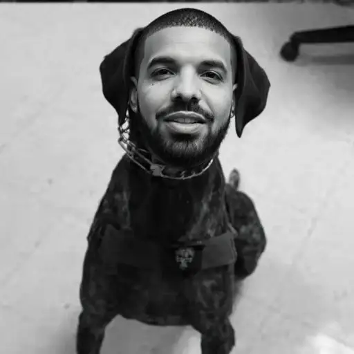 K9