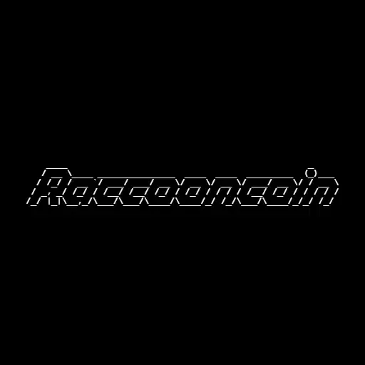 raccoon