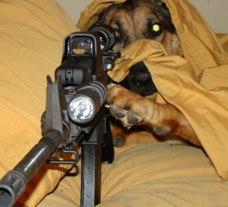 SNIPERINU