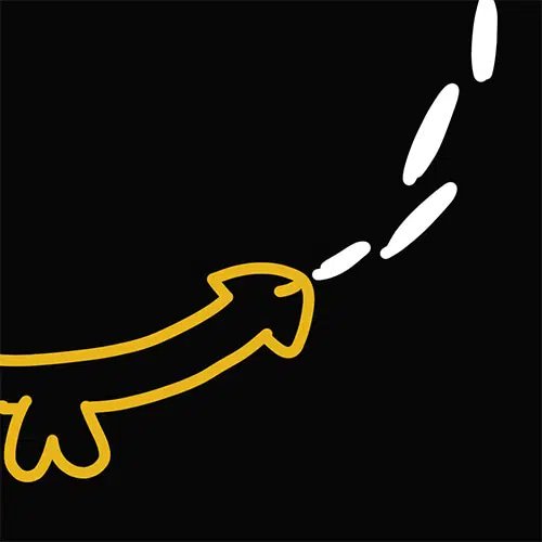 $cumpound token logo