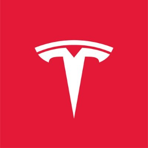 $TESLASI token logo