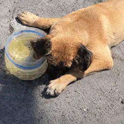 THIRST