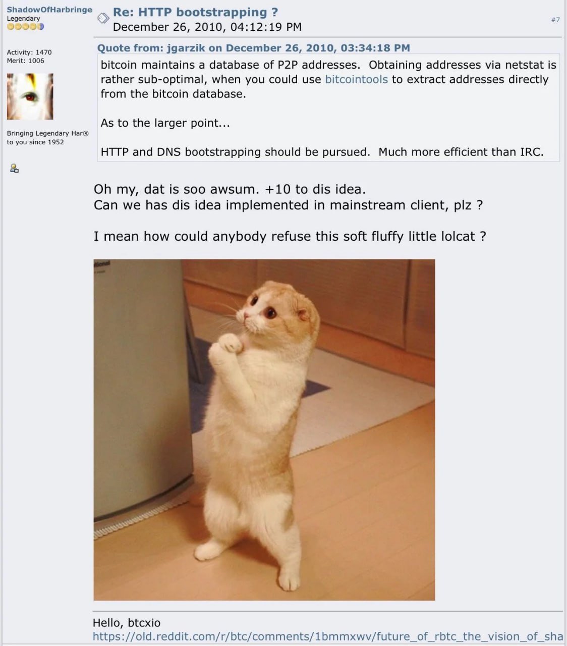 lolcat