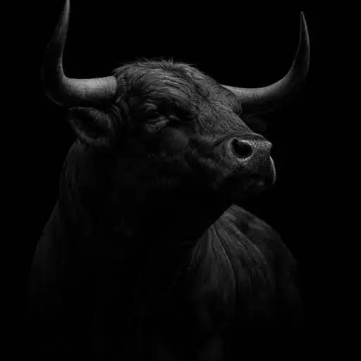 BULL