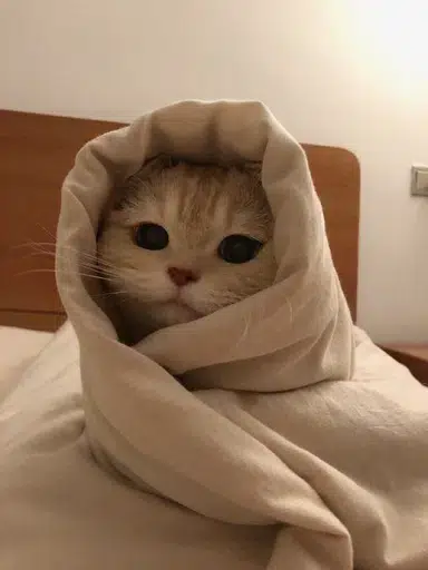 gm