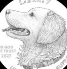 DOG logo