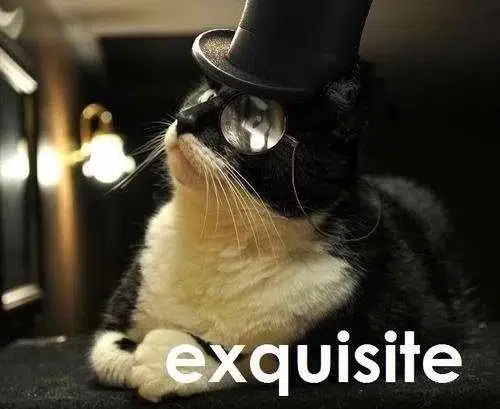 TOPCAT