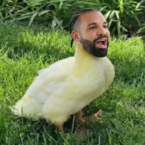 DRAKE