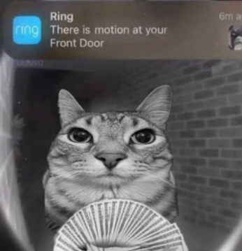 motion