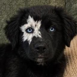 astro