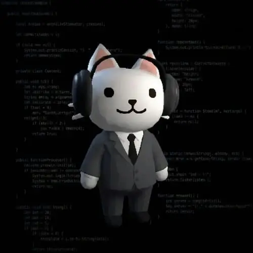 DNS