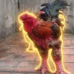 DongTao