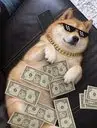 Cashdog