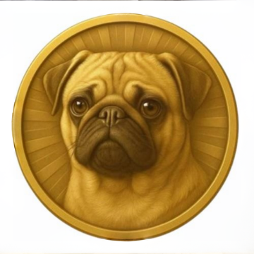 PUGCOIN — PUGCOIN Solana token traded by KOLs