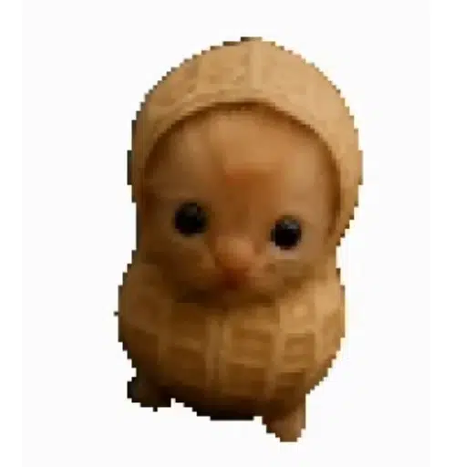 NUT