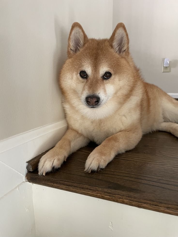 Jiro