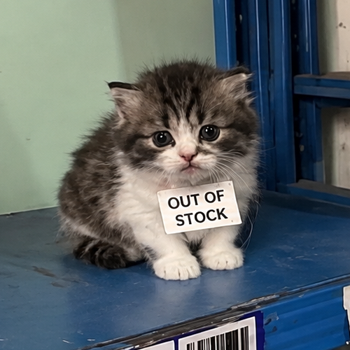 Stock