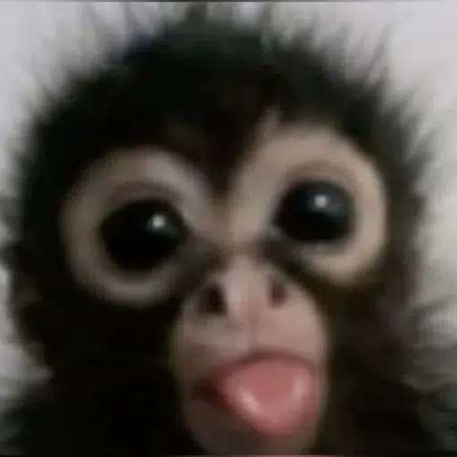 Ape