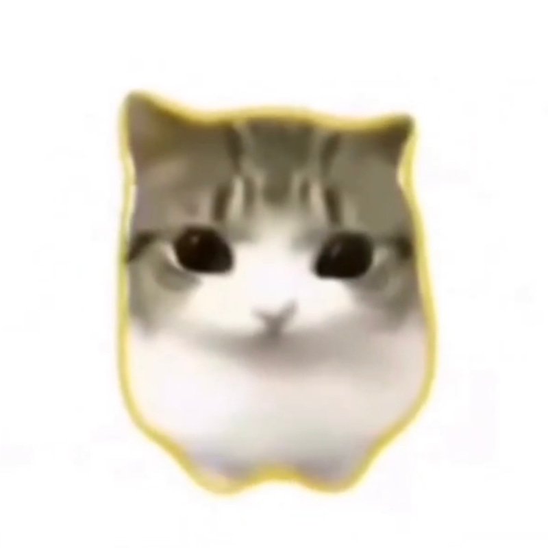 DAM