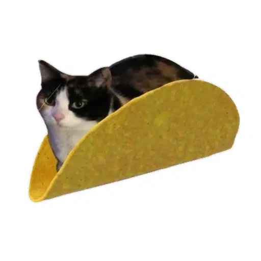 tacocat
