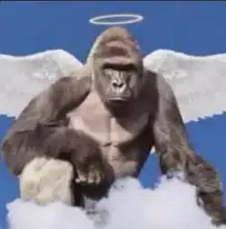 Harambe