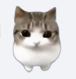 CryptoCat