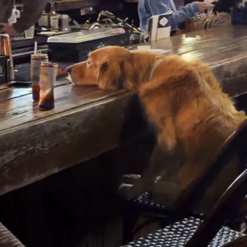 RUFF