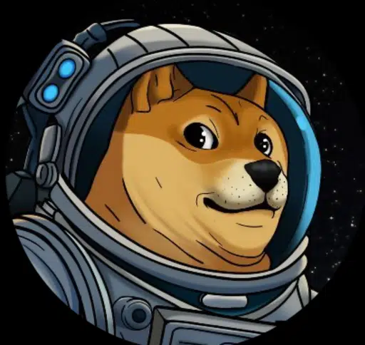 DOGE-1