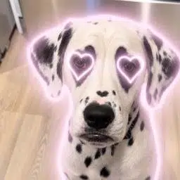 Cupid