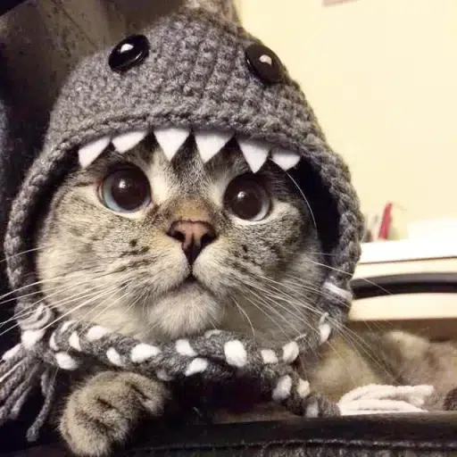 NALA