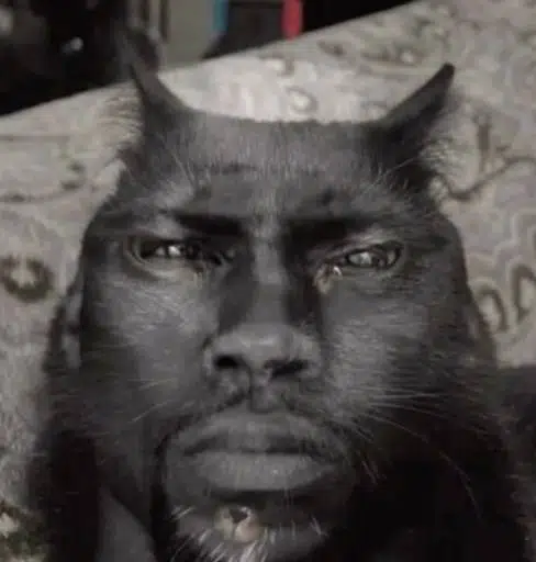 NIGGACAT