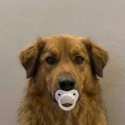 PACIFIER