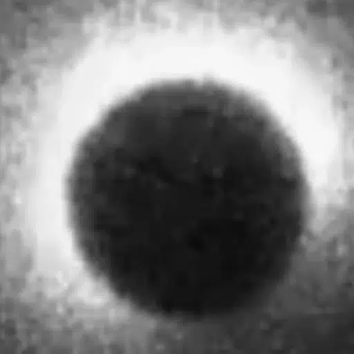 SOL