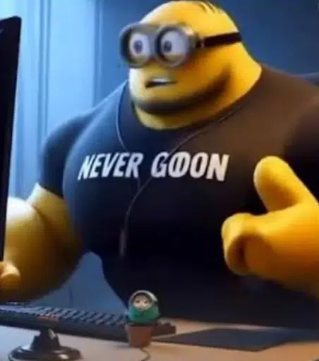 NEVER